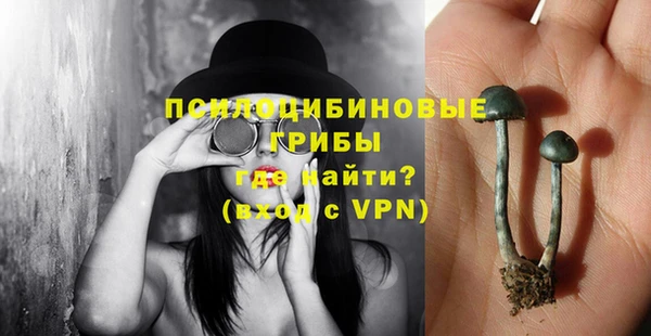 прущая мука Дмитровск